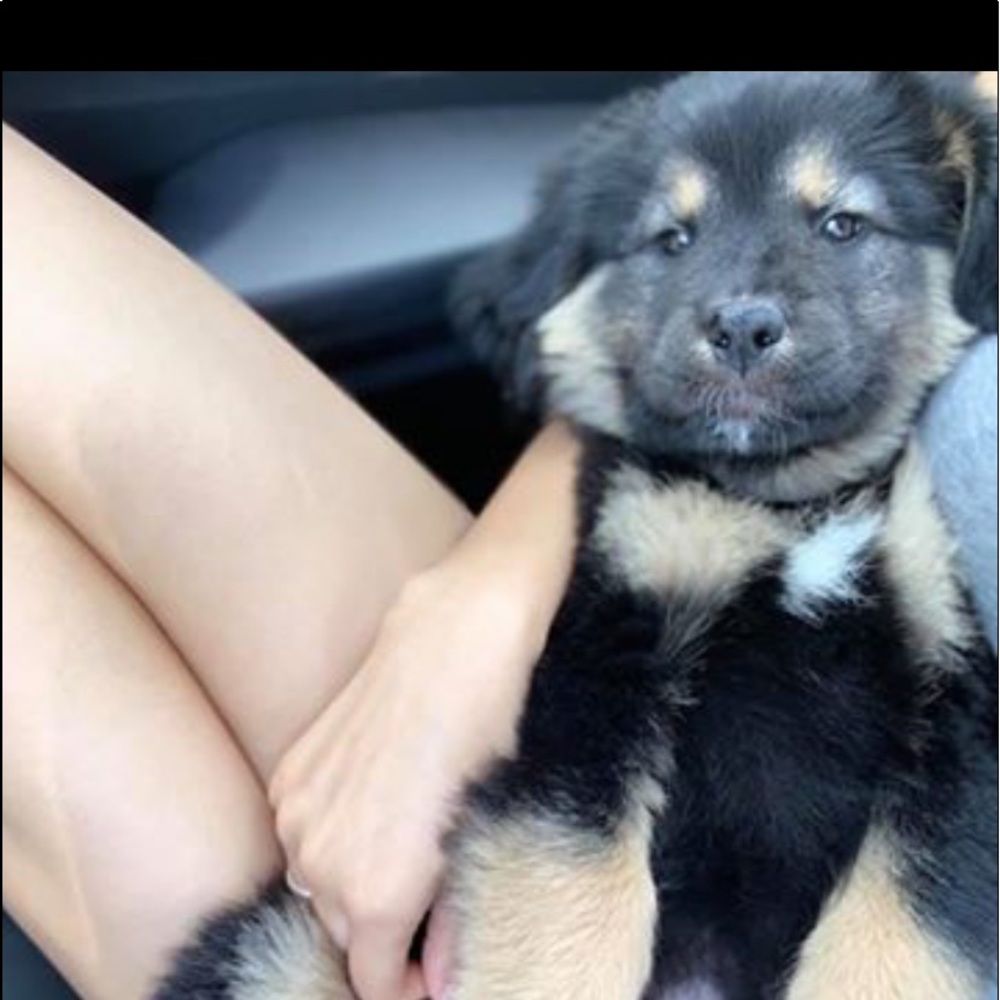 Meet your Posher, Zachary